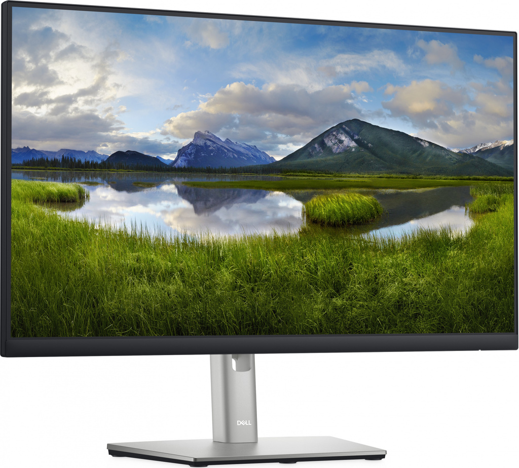 Profesionálny monitor - LCD 24" IPS LED DELL P2422H - Trieda B - Repas