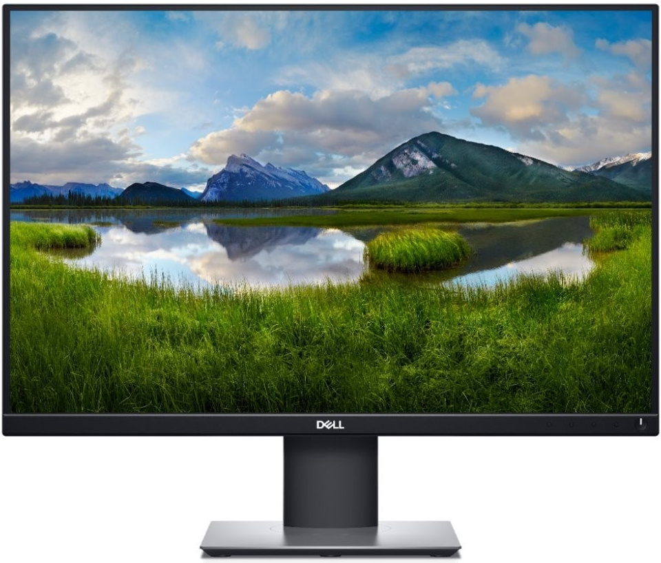 Profesionálny monitor - LCD 24" IPS LED DELL P2421 - Repas