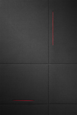 Samsonite Airglow Sleeves